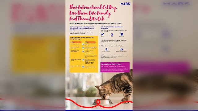 New Data Debunks Cat Food Myths with Veterinary Support on International Cat Day